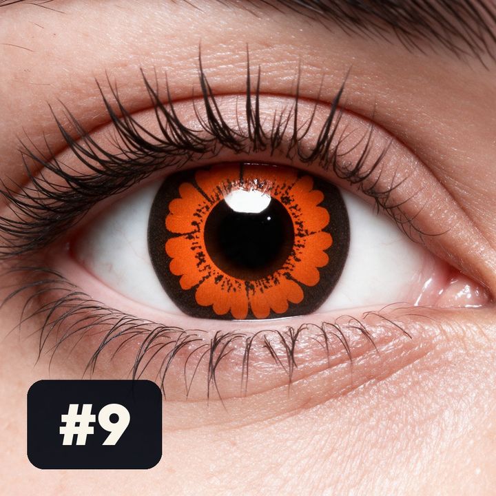 Lente de Halloween #9: Pétalos anaranjados sobre fondo oscuro