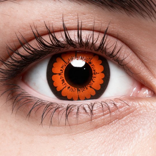 Lente de Halloween #9: Pétalos anaranjados sobre fondo oscuro · foto 2